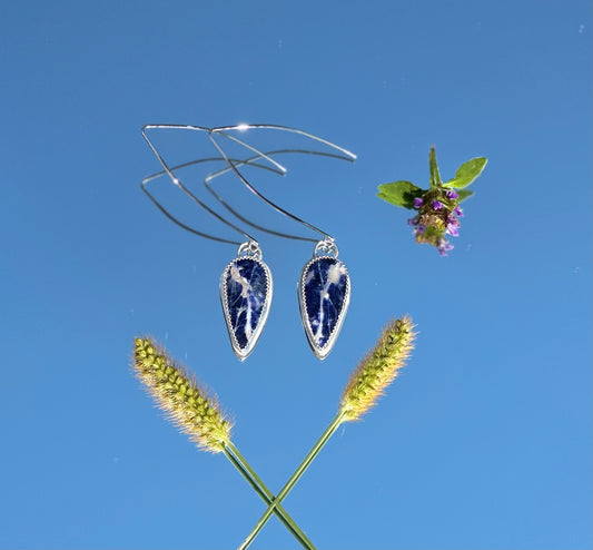 Sodalite Earrings